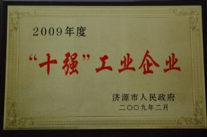 2009年度十強企業